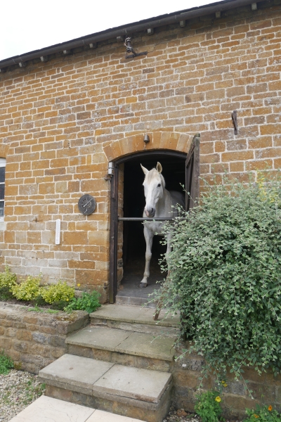 Ascott Lodge